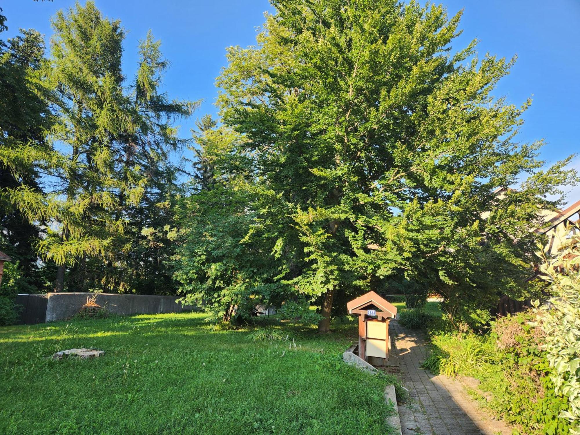 Appartement T3 Avec Jardin Proche Village Saint-Bonnet-en-Champsaur Exterior foto
